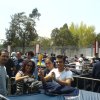 Fans4mayo---04