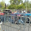 Fans4mayo---06
